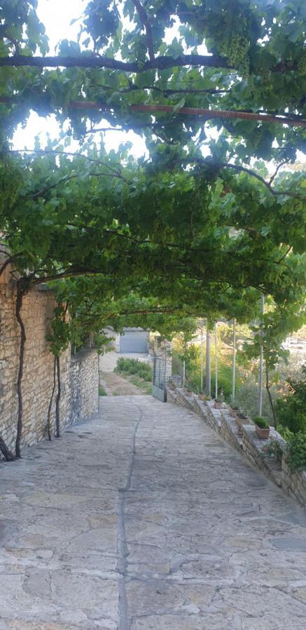 Green Forest Berat Exterior foto